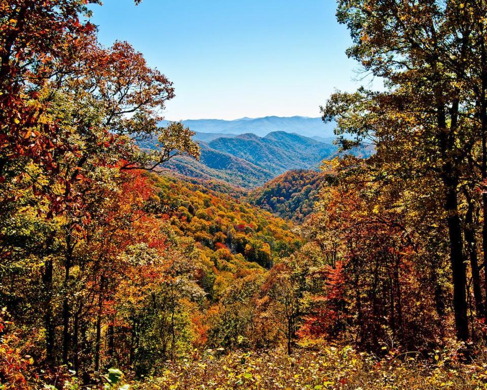 개틀린버그 Mountain Hideaway 빌라 외부 사진